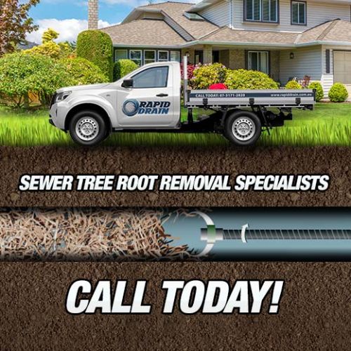 Sewer Tree Root Removal Specialists In Lindum